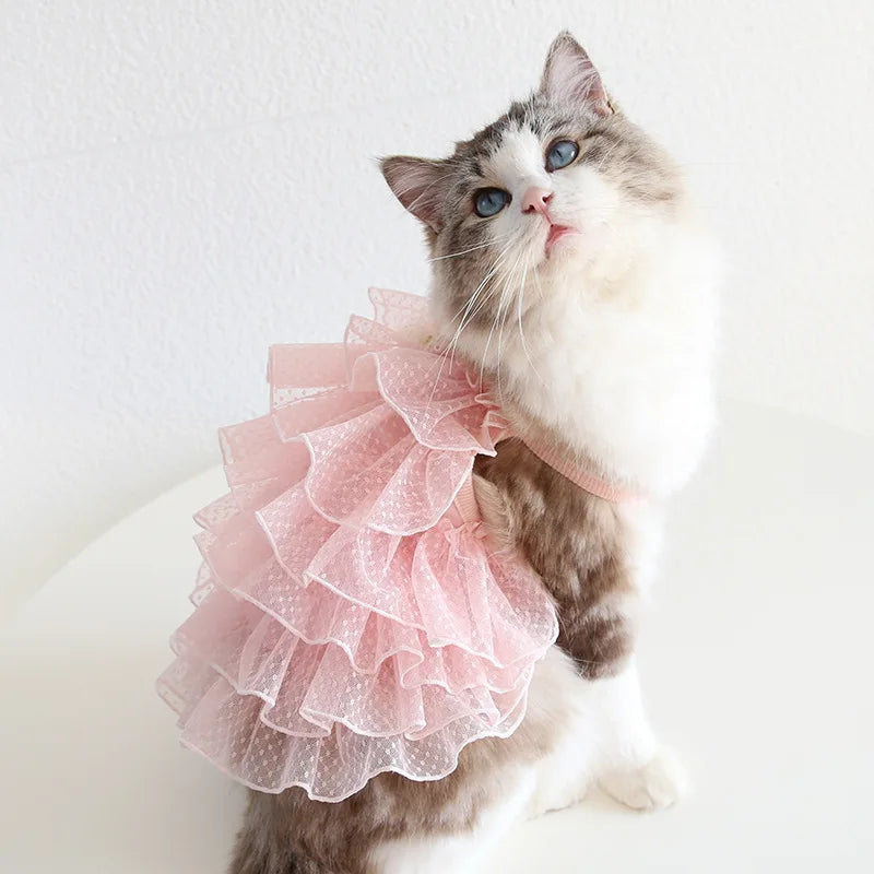 Cat Spring/summer Dress
