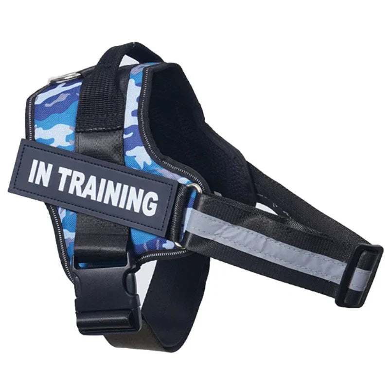 Personalized Reflective No-Pull Harness          Ask ChatGPT
