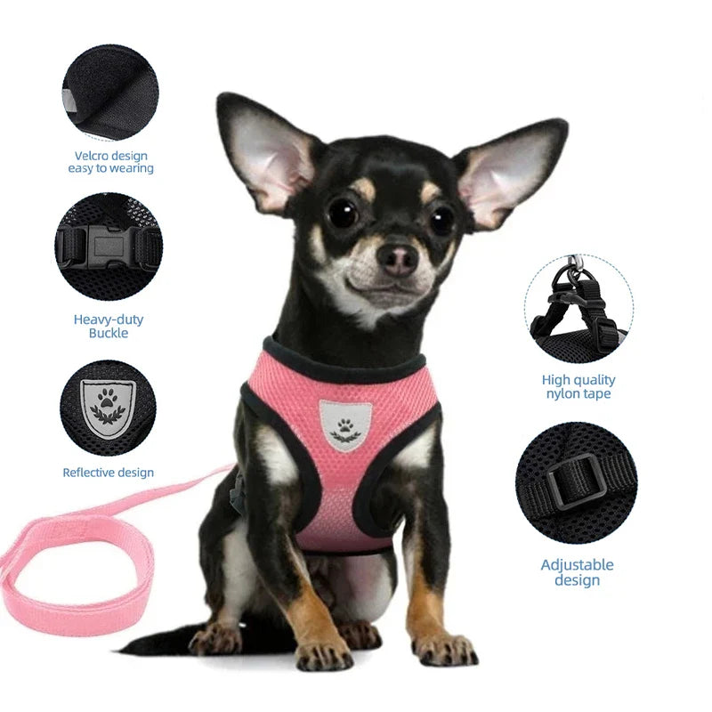 Adjustable Cat Dog Harness Set
