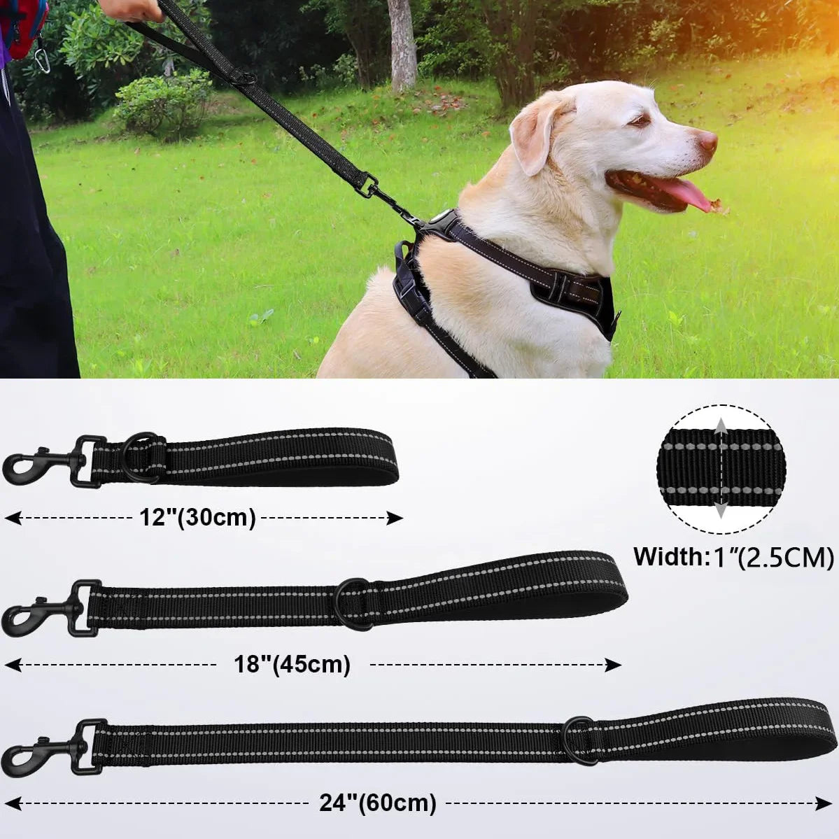Taglory Heavy Duty Dog Leash