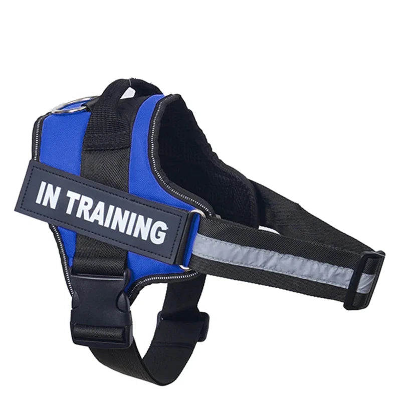 Personalized Reflective No-Pull Harness          Ask ChatGPT