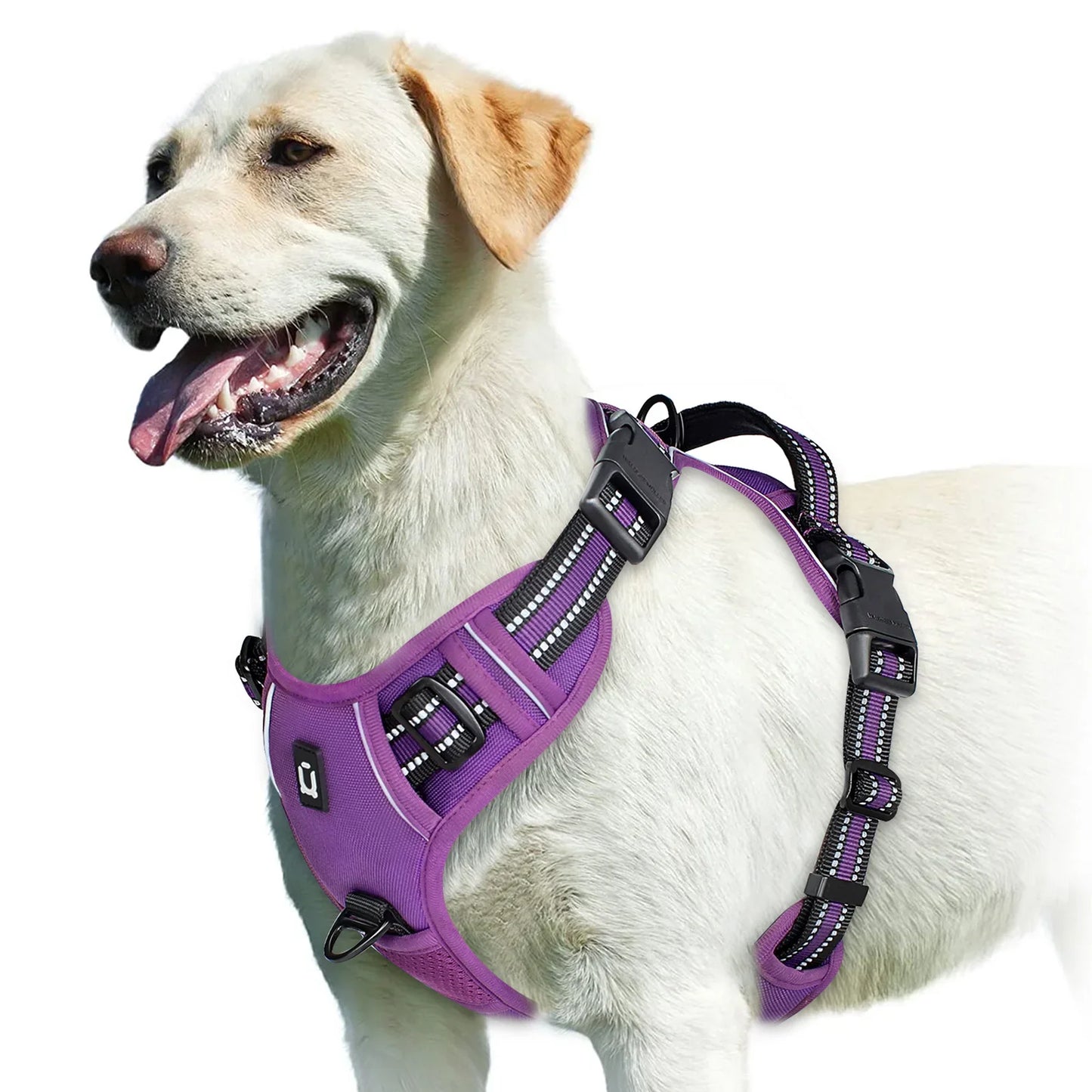 Soft No-Pull Dog Harness
