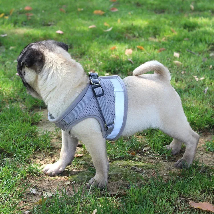 Reflective Adjustable Cat Dog Harness