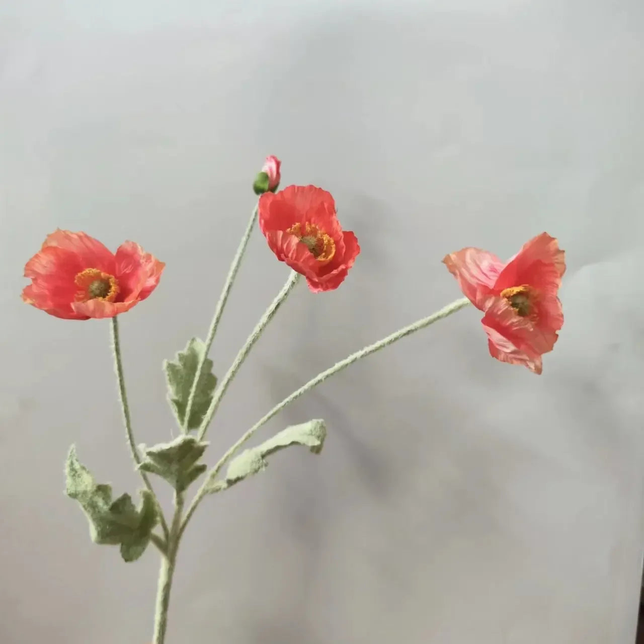 Silk Poppy Flower Stem