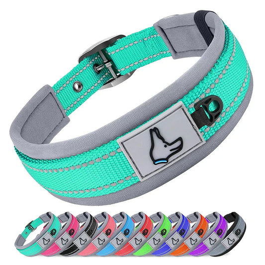 Padded Reflective Nylon Dog Collar
