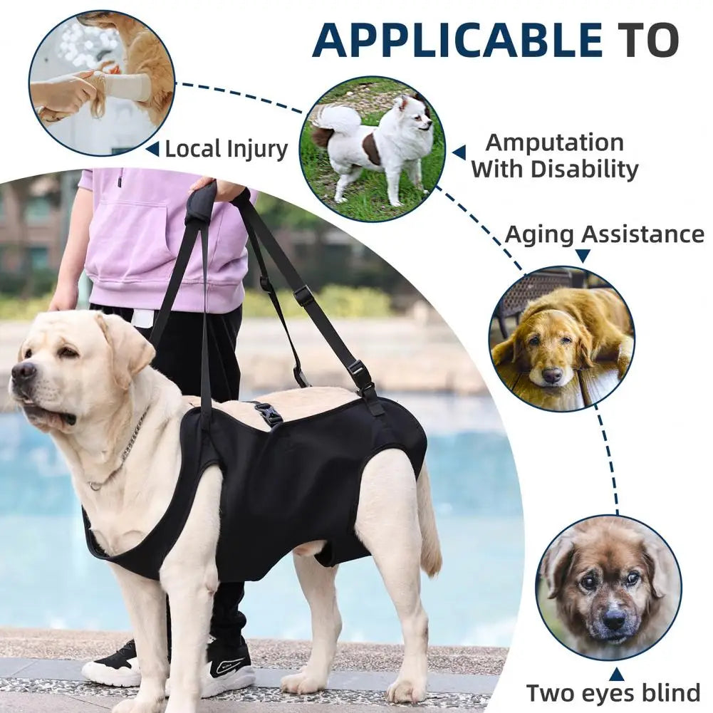 Senior Dog Support Harness