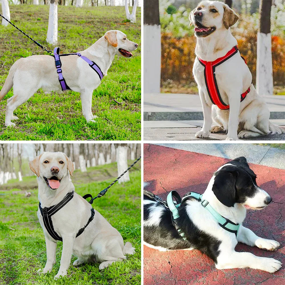 Reflective Easy Control Dog Harness