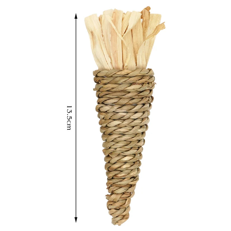 Toy Organic Apple Wood Chew