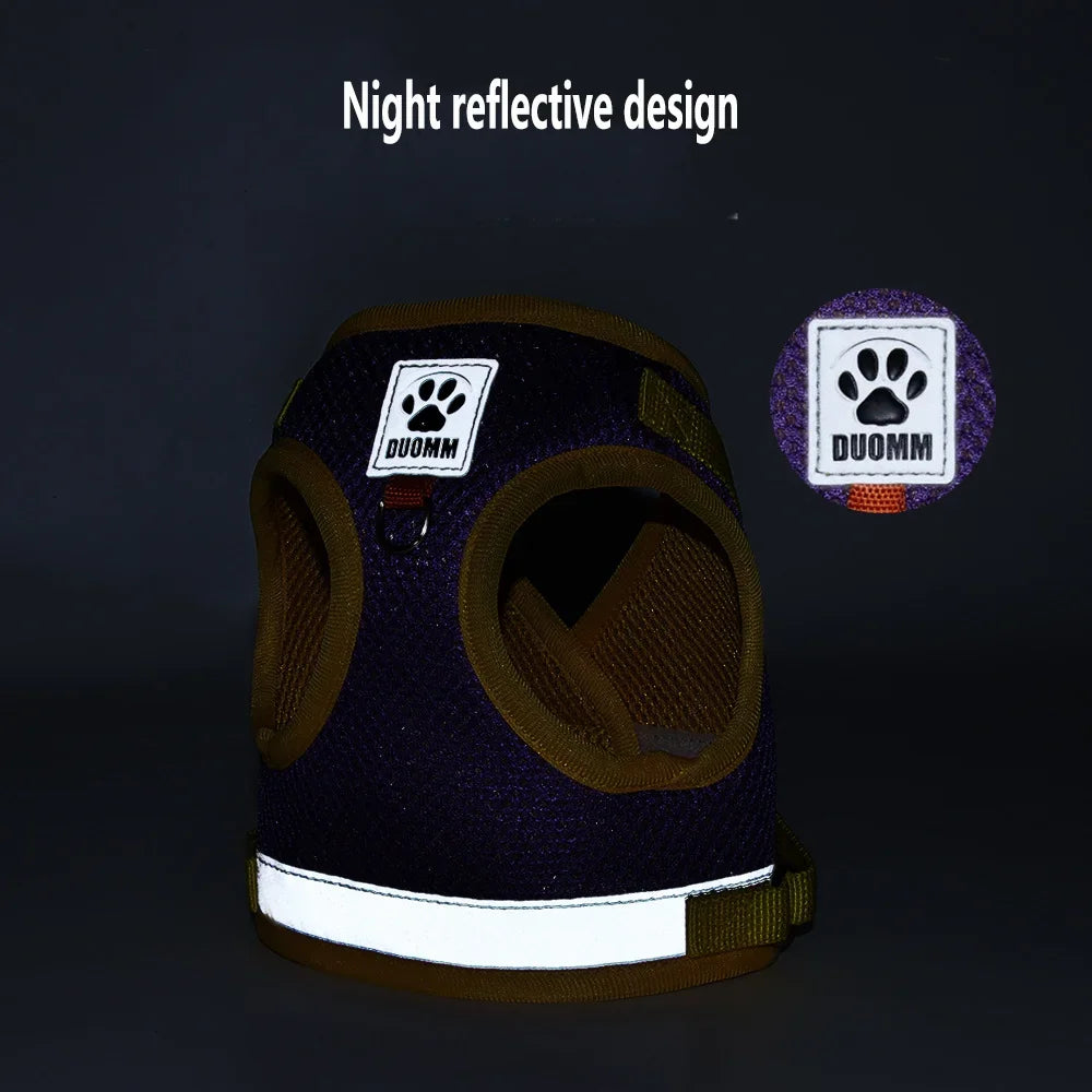 Summer Mesh Pet Harness Set