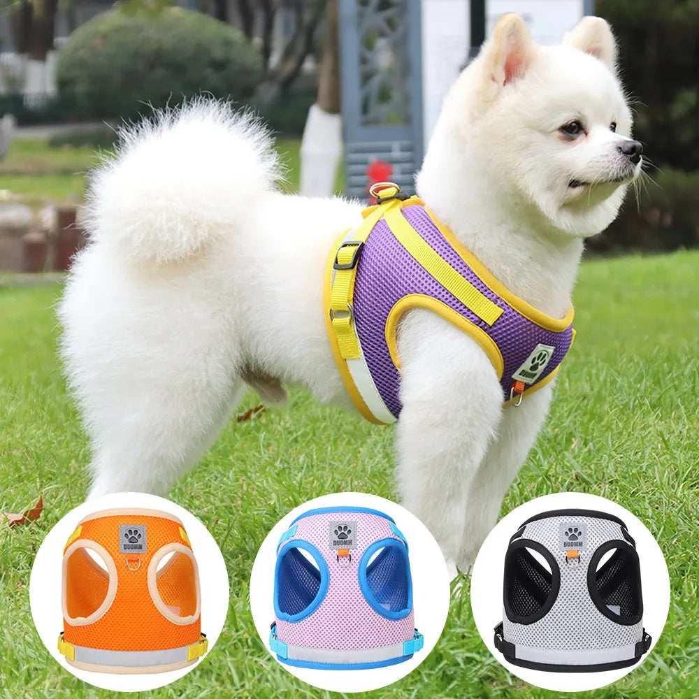 Summer Mesh Pet Harness Set