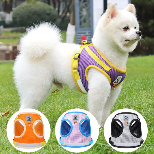 Summer Mesh Pet Harness Set