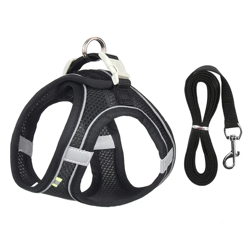 CDDMPET Adjustable Dog Harness Leash Set
