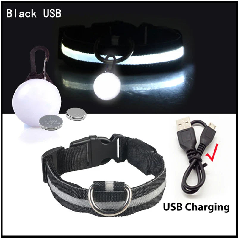 COOYOMOO USB Charging Glowing Dog Collar