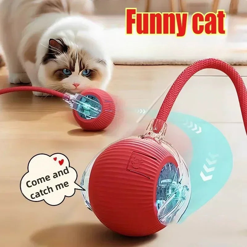 Rechargeable Interactive Cat Ball Toy