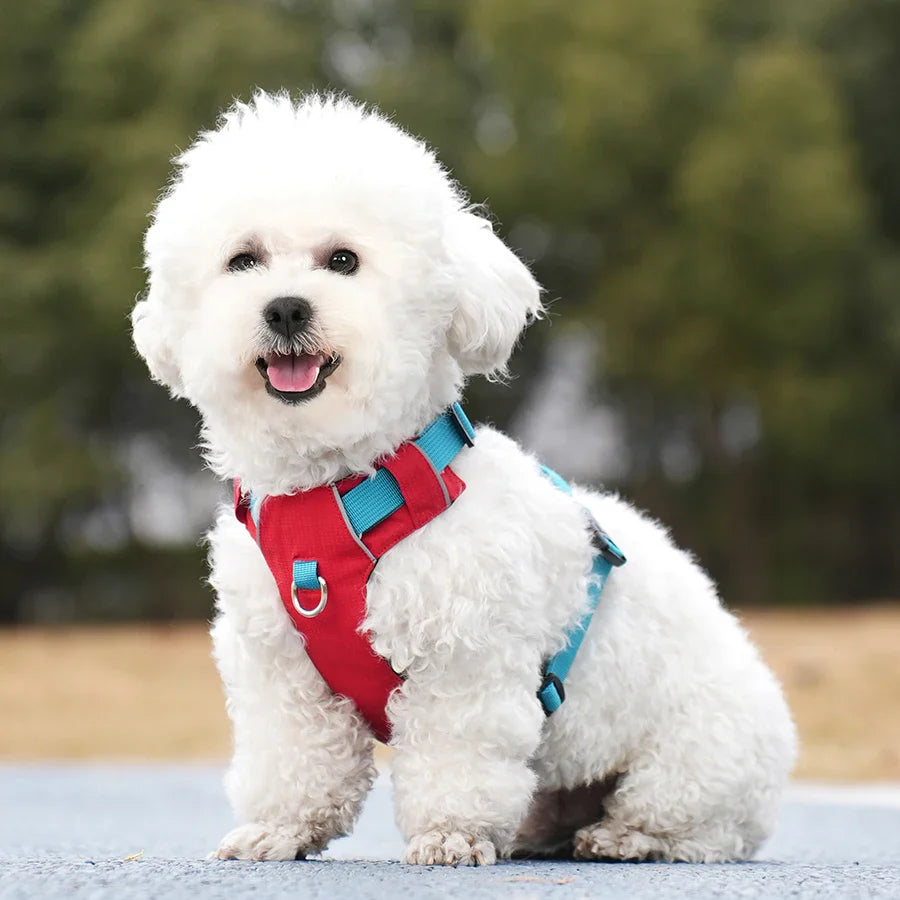 Reflective Waterproof Dog Harness Vest