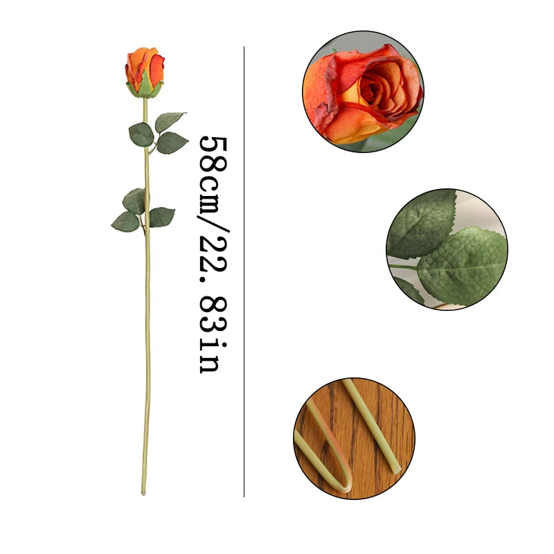 Burnt Edge Rose Buds