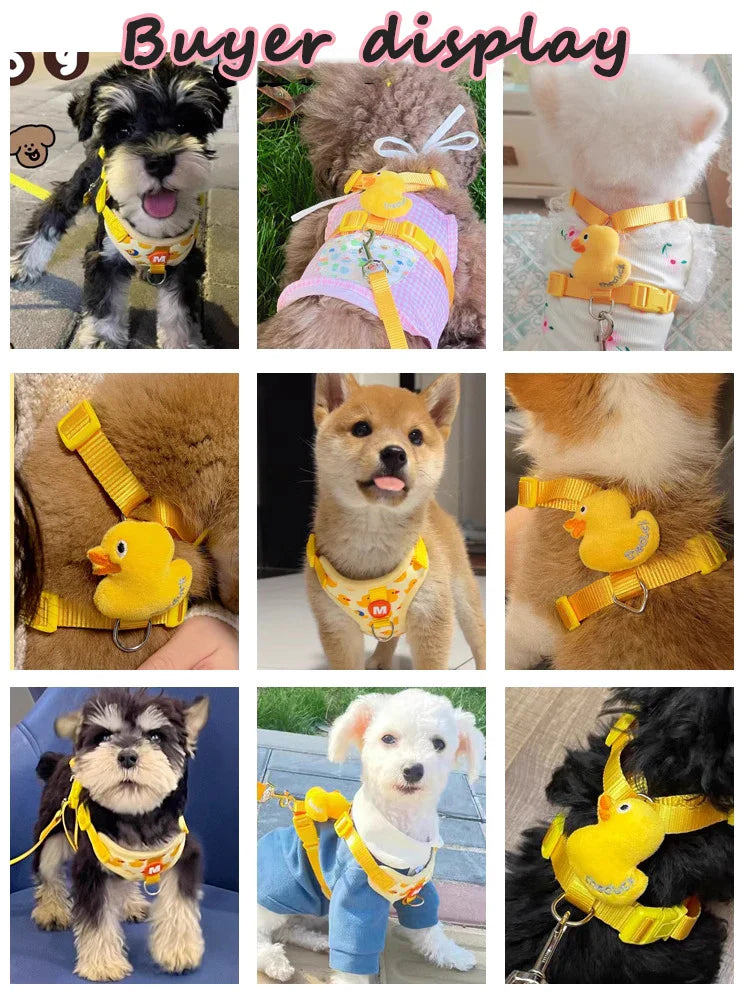 No Pull Cat Harness Set