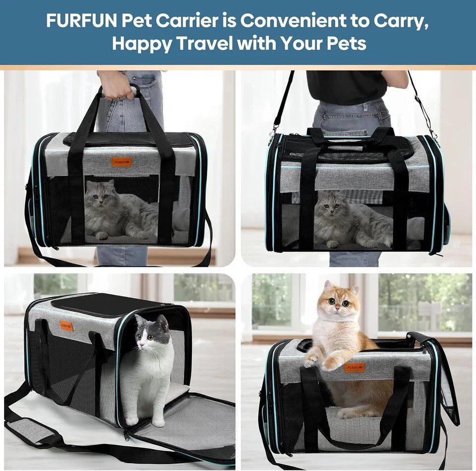 Airline Approved Pet Carrier