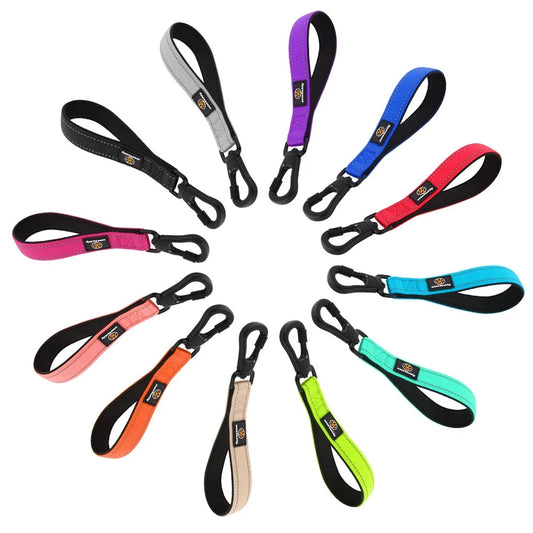 Reflective Nylon Dog Training Leash