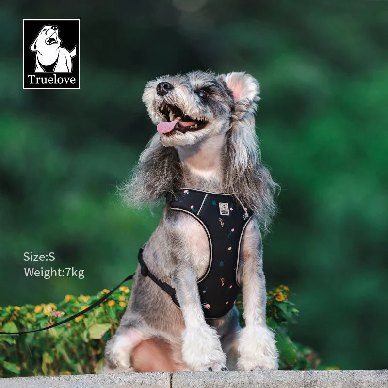TRUELOVE Truelove Reflective Dog Harness Set