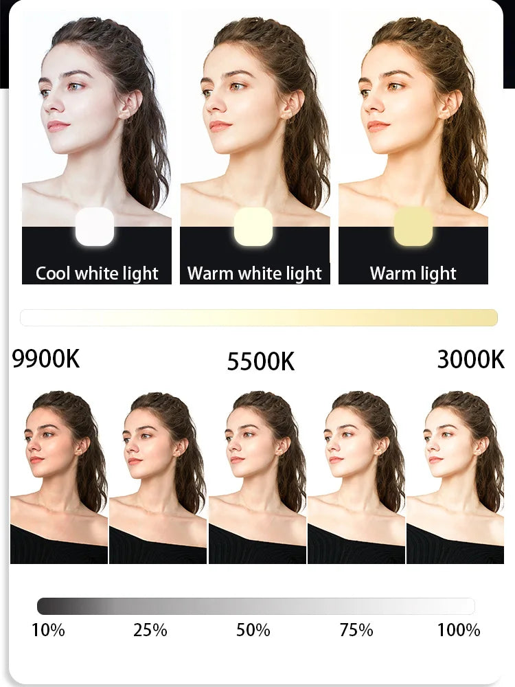 Mini LED Bi-Color Fill Light