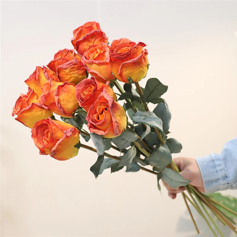 Burnt Edge Rose Buds