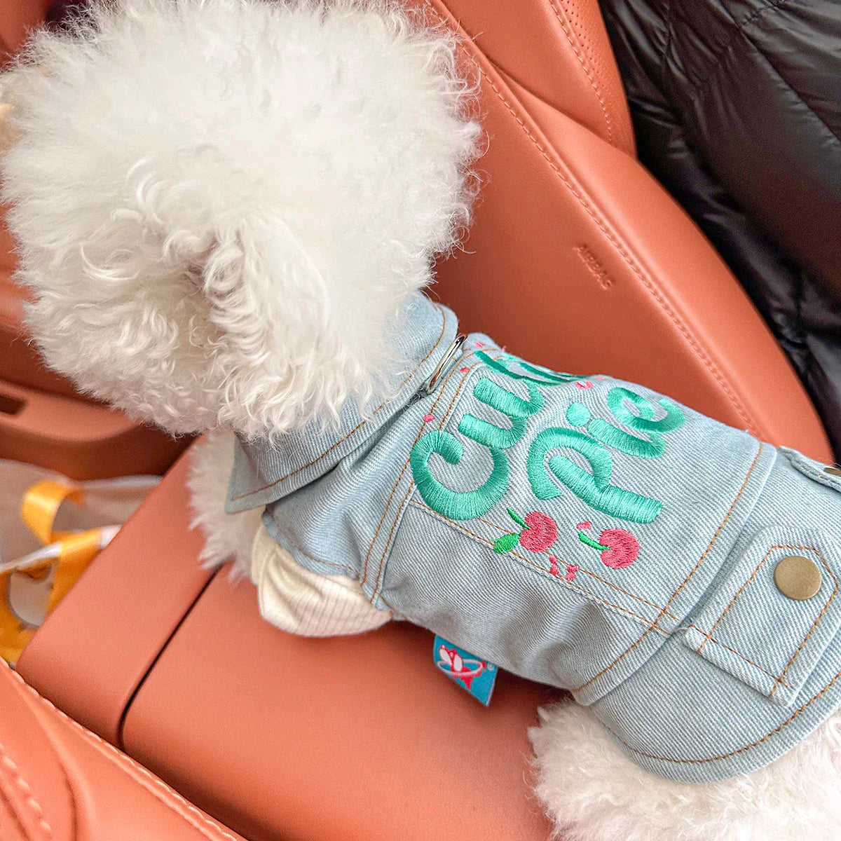 Sweetheart Blue Pet Vest Jacket
