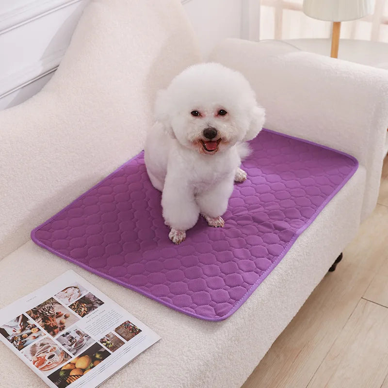 Reusable Absorbent Dog Pee Pad