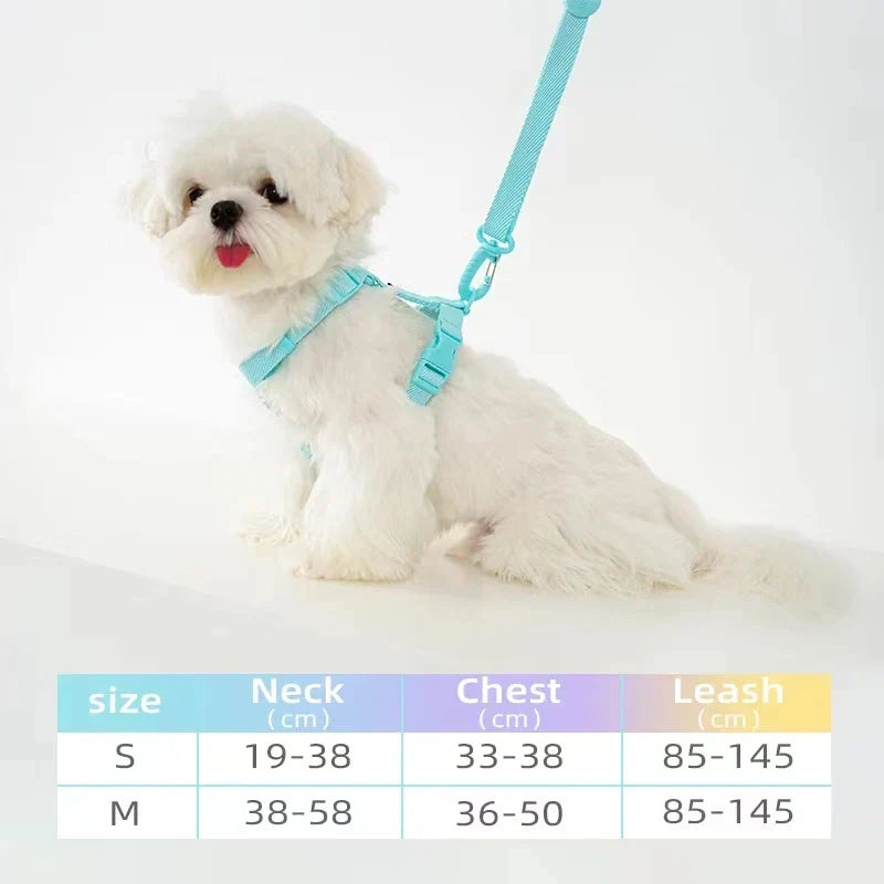 Macaron Dog Harness Leash Set