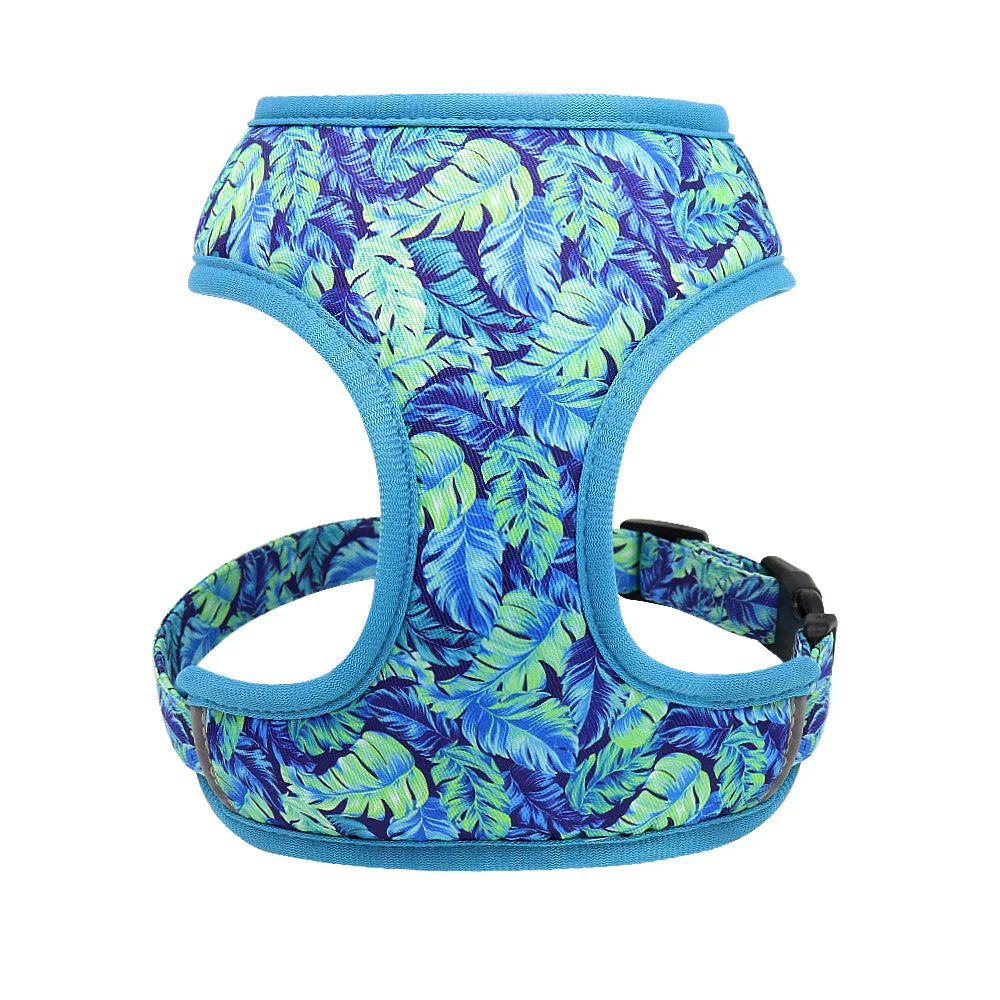 Cute Printed Pet Harness Set