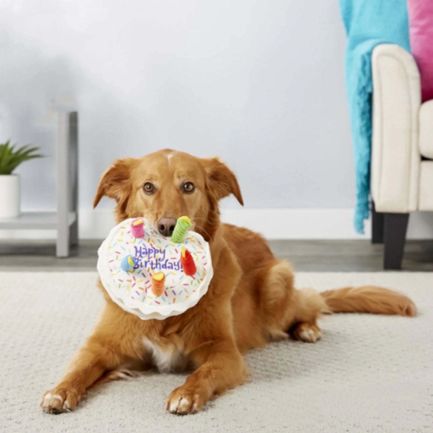 Plush Dog Birthday Cake Toy