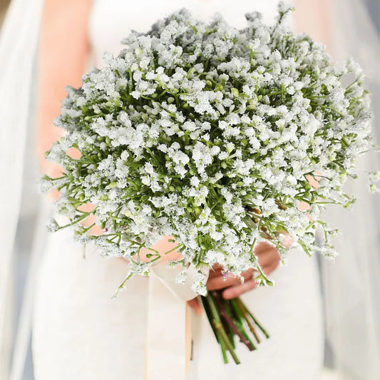 White Baby’s Breath Bouquet
