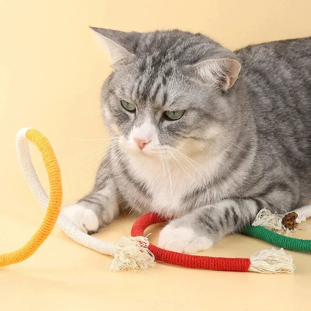 Chew Rope Catnip Toy Set