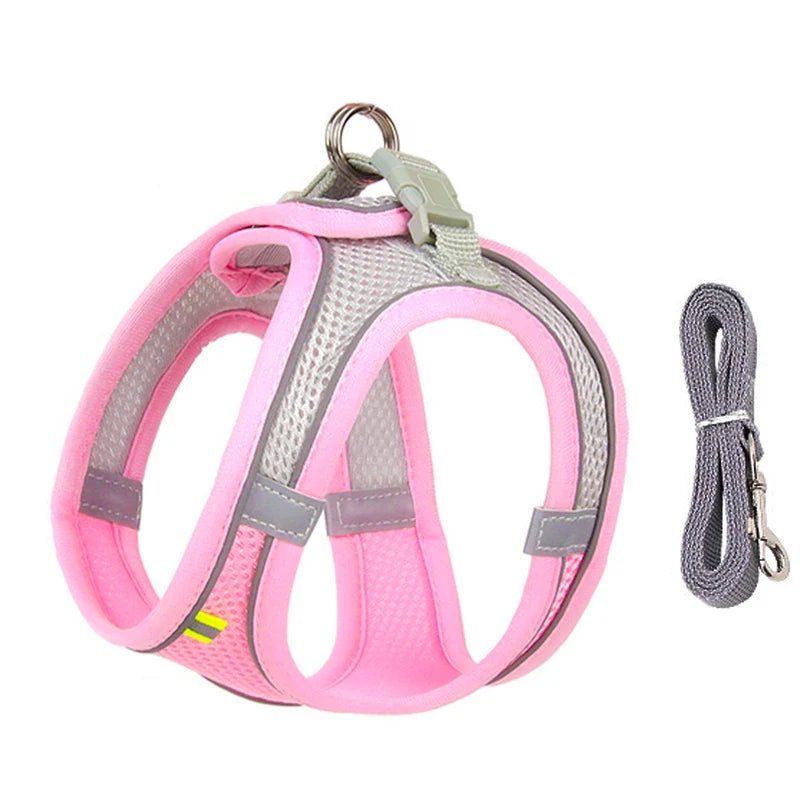CDDMPET Adjustable Dog Harness Leash Set