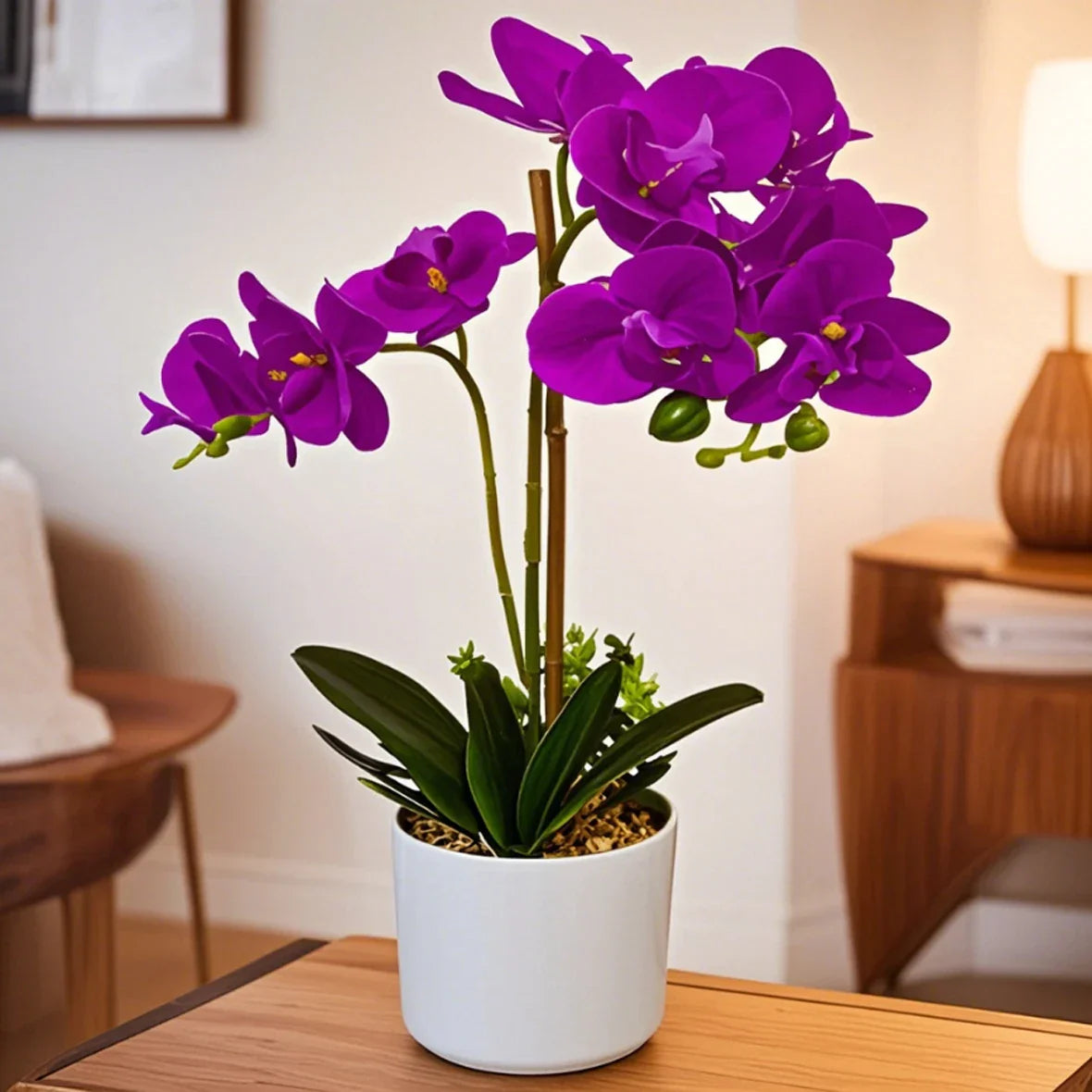 Flower Elegant White Orchid Decor