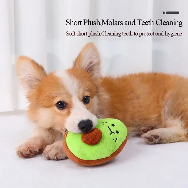 Cute Fruit Squeaky Dog Toy