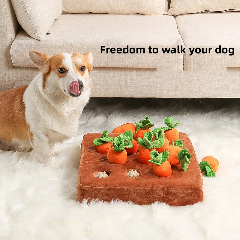 2-in-1 Carrot Dog Toy