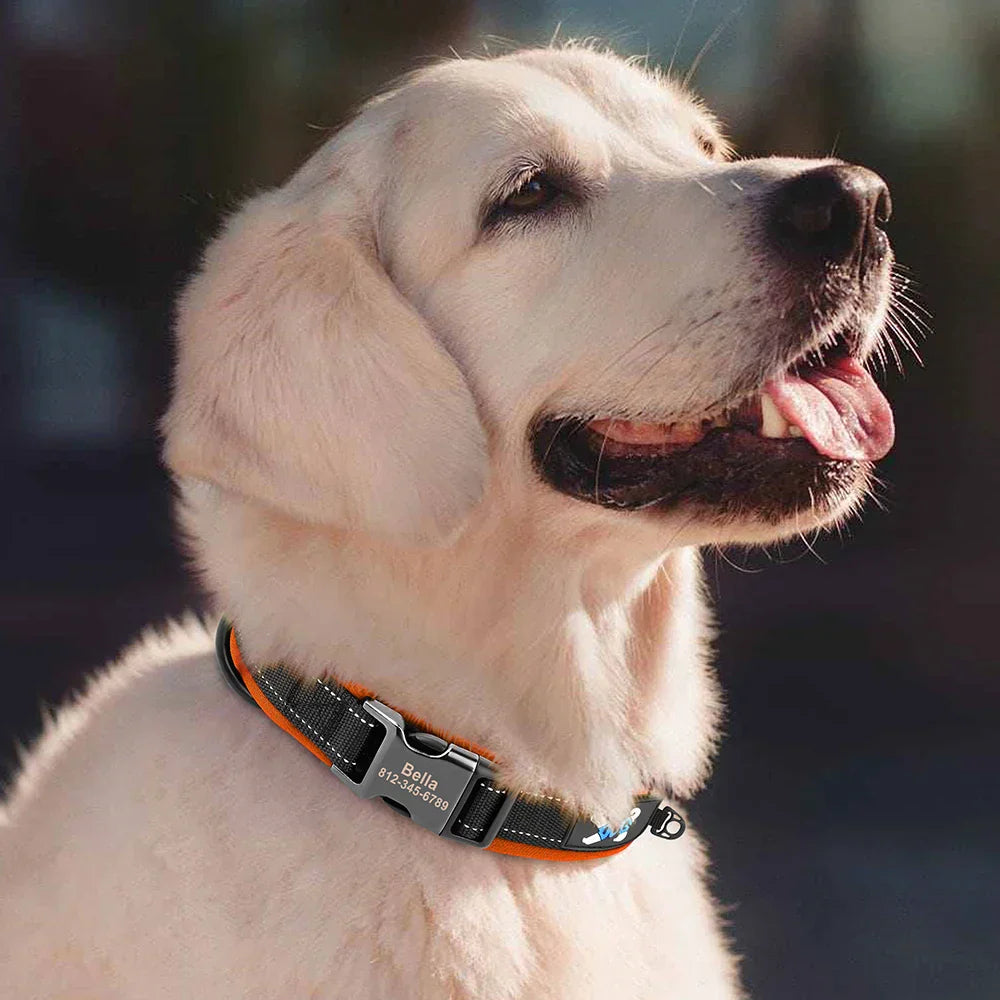 Reflective Personalized Nylon Dog Collar