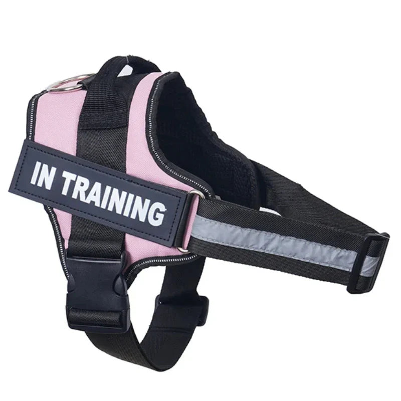 Personalized Reflective No-Pull Harness          Ask ChatGPT