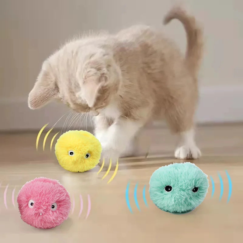 COOYOMOO Smart Catnip Squeaky Ball Toy