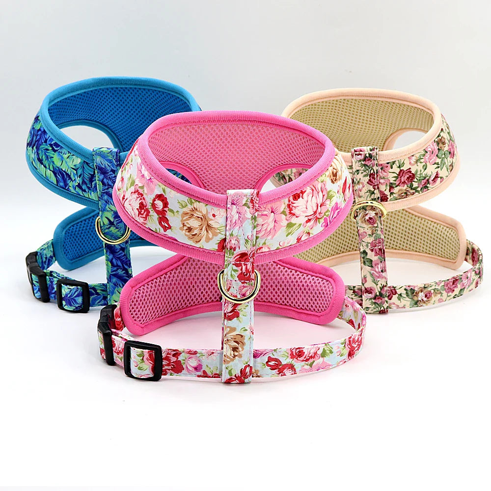 Cute Printed Pet Harness Set