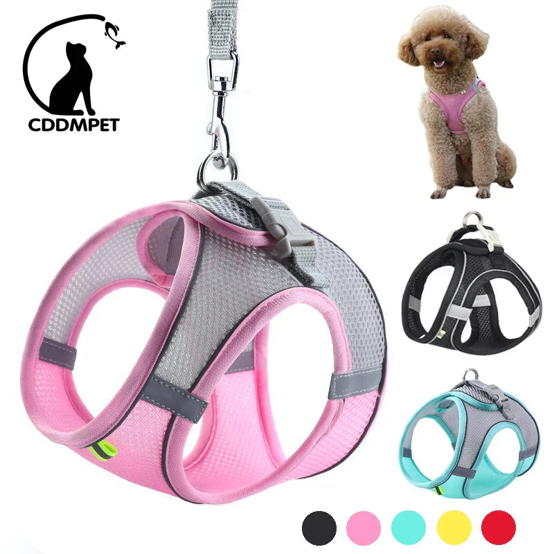 CDDMPET Adjustable Dog Harness Leash Set