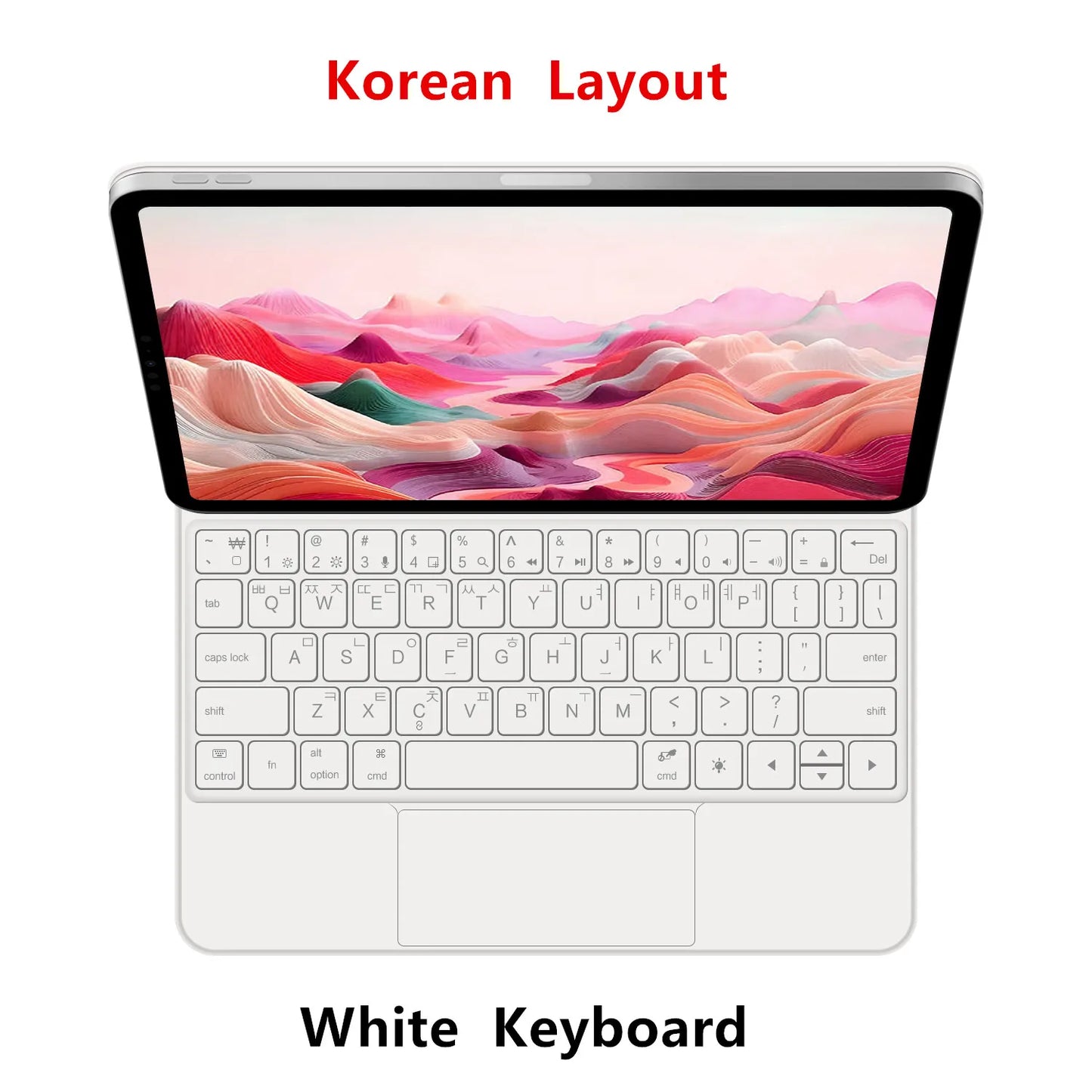 Magic Keyboard iPad 11" Case