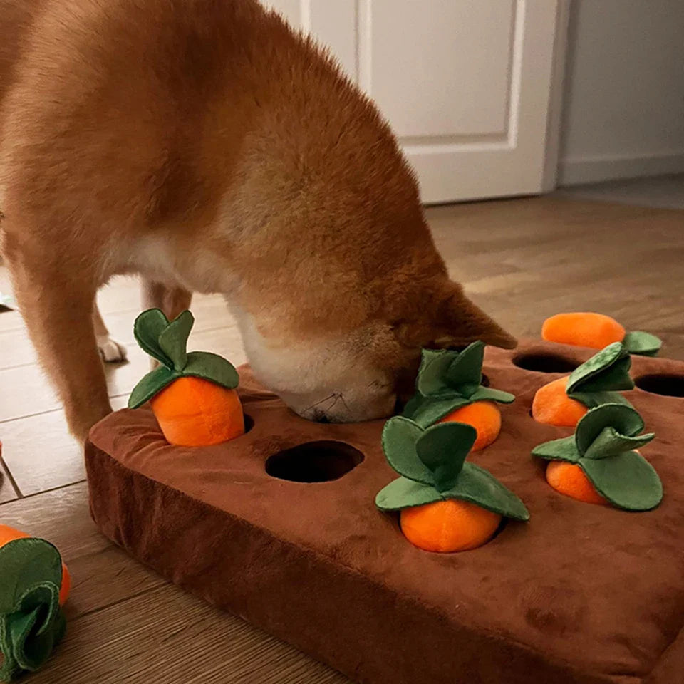 NONOR Carrot Puzzle Chew Toy