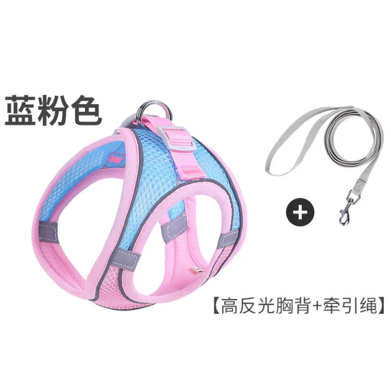 Noctilucent Pet Harness Leash Set