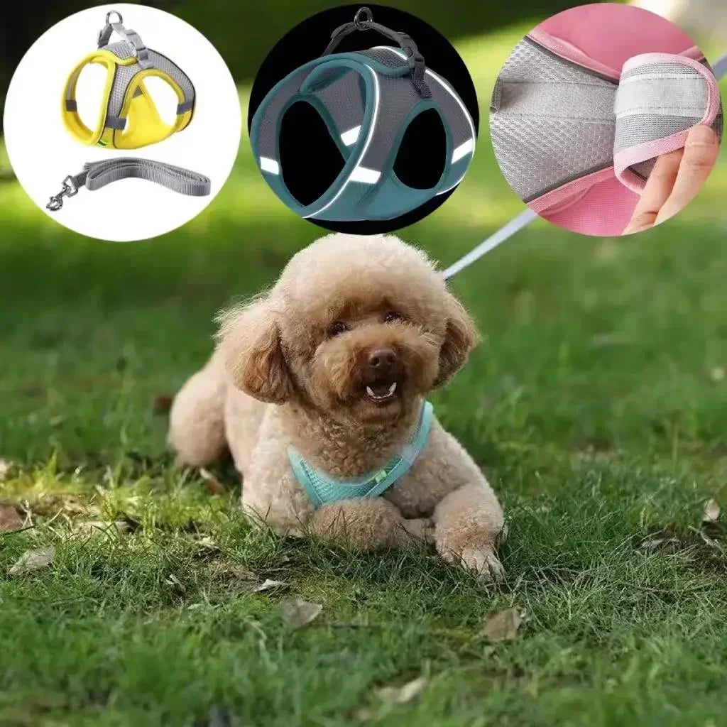 Adjustable Pet Harness Leash Set