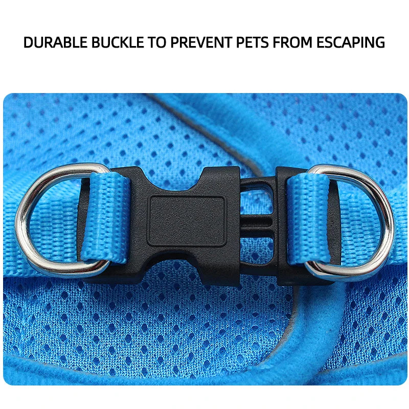 Anti-Escape Cat Harness Set
