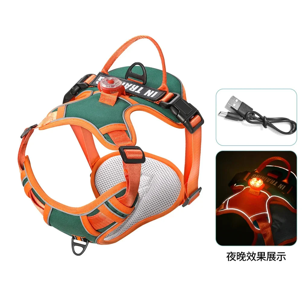 USB Light Dog Harness