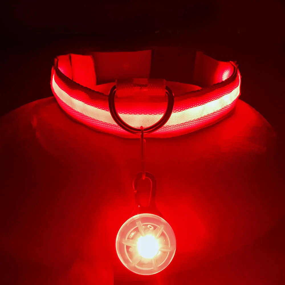COOYOMOO USB Charging Glowing Dog Collar