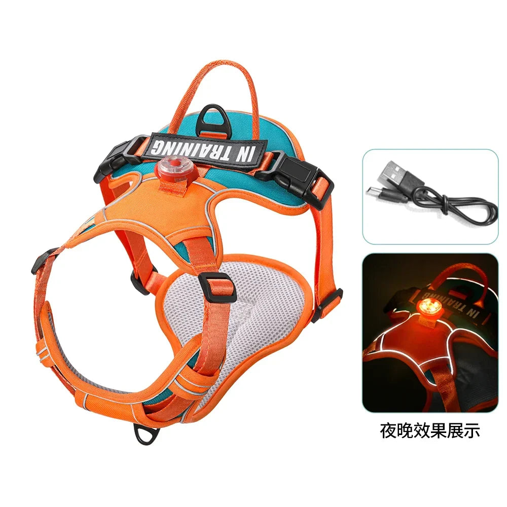 USB Light Dog Harness